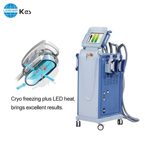 Machine Professionnelle De Réduction De Graisse Par Cryolipolyse